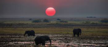 Breathtaking sunset over the African plains | Peter Walton